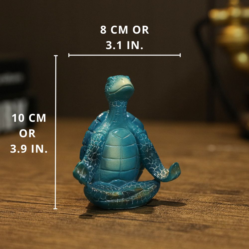 Yoga Turtle Statues Test